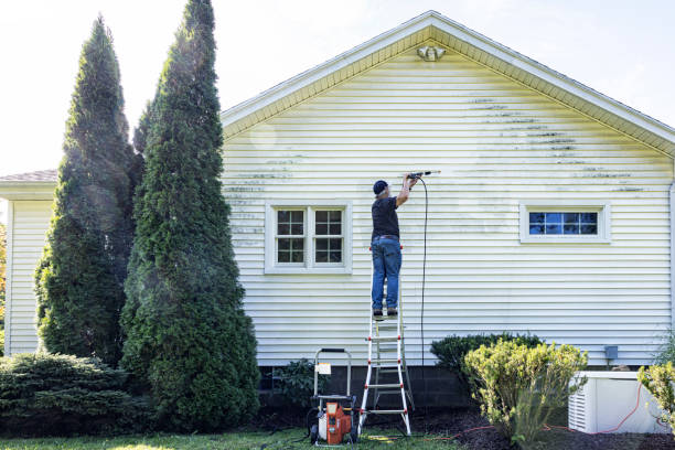 Best Driveway Pressure Washing  in Sharpes, FL